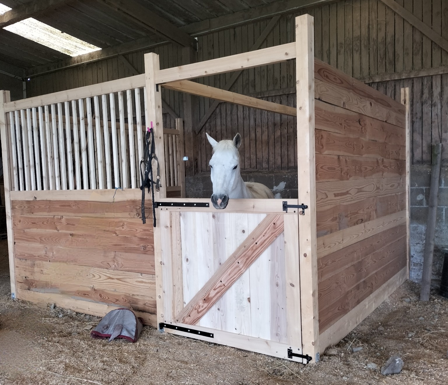 Cheval en box
